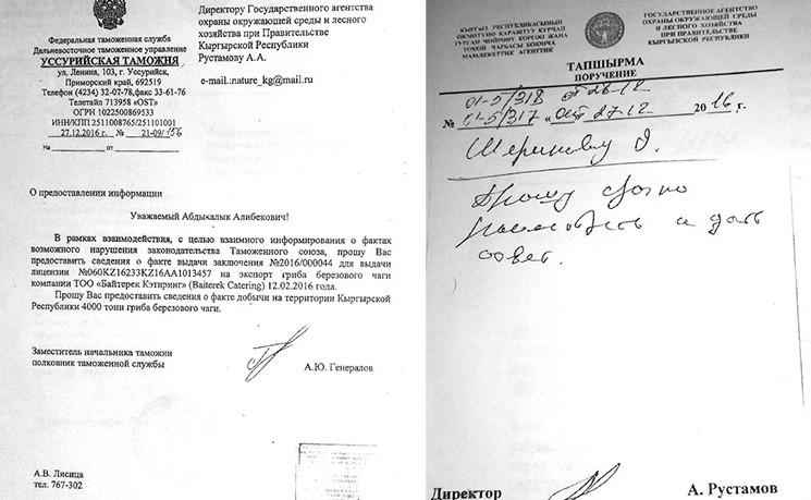 Запрос от Уссурийской таможни — и просьба Рустамова "срочно дать совет"