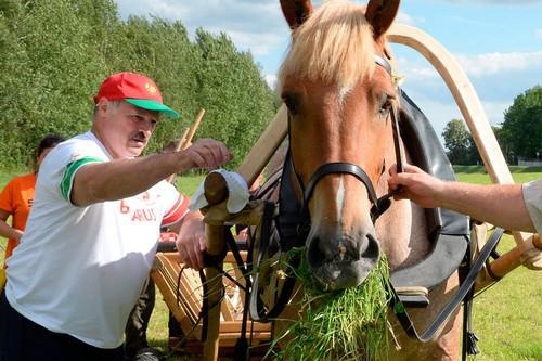 Александр Лукашенко и лошадь