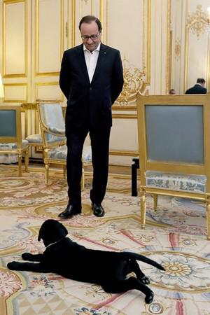 Франсуа Олланд и лабрадор Филэ