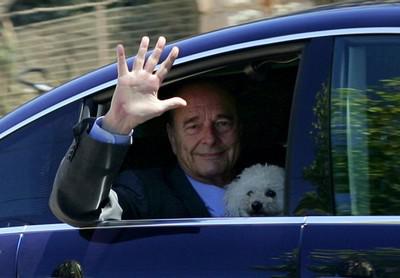 Жак Ширак и мальтийская болонка Сумо