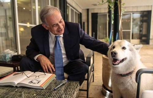 Биньямина Нетаньяху и пес Кайя